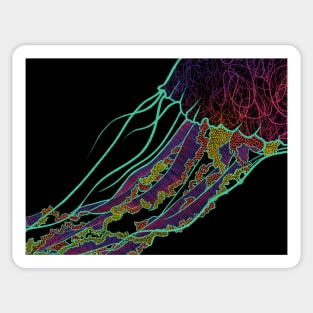 Colorful Abstract Jellyfish With Long Tentacles Sticker